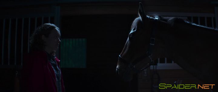 Чистокровные / Thoroughbreds (2017) BDRip | HDrezka Studio 3 Чистокровные / Thoroughbreds (2017) BDRip | HDrezka Studio 3