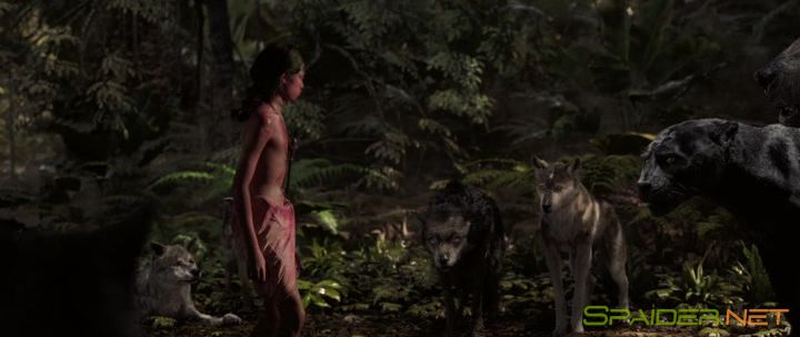 Маугли: Легенда джунглей / Mowgli (2018) WEB-DLRip | Пифагор 2 Маугли: Легенда джунглей / Mowgli (2018) WEB-DLRip | Пифагор 2