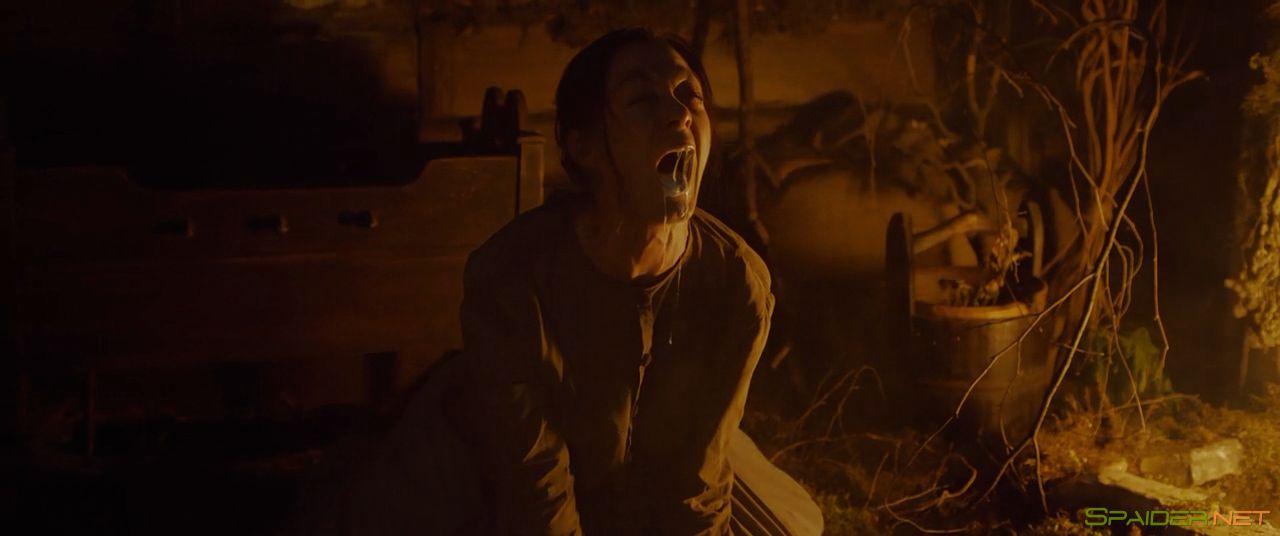 Ведьмы / Hagazussa (2017) WEBRip-AVC | L1 4 Ведьмы / Hagazussa (2017) WEBRip-AVC | L1 4