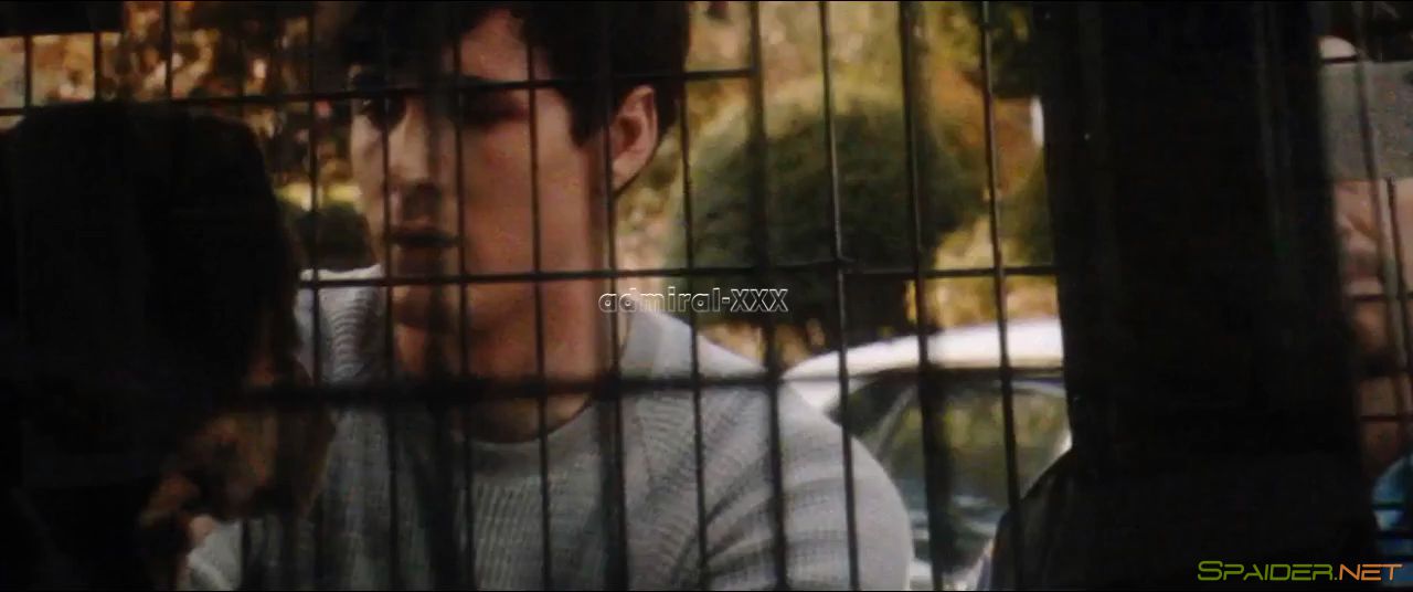 Путь домой / A Dog's Way Home (2019) CAMRip 720p 0 Путь домой / A Dog's Way Home (2019) CAMRip 720p 0