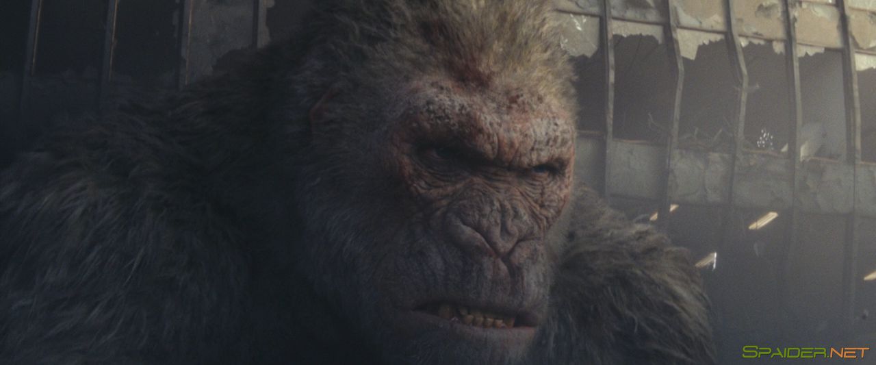 Рэмпейдж / Rampage (2018) BDRip 1080p | Ukr 3 Рэмпейдж / Rampage (2018) BDRip 1080p | Ukr 3