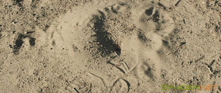 Паранормальное / The Endless (2017) BDRip | L2 2 Паранормальное / The Endless (2017) BDRip | L2 2