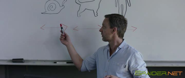 Астрал: Новое измерение / Astral (2018) WEB-DLRip | iTunes 0 Астрал: Новое измерение / Astral (2018) WEB-DLRip | iTunes 0