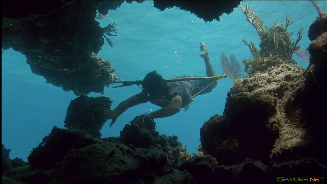 Секс ради выживания / Survival Island / Three (2005) WEB-DL 1080p 0 Секс ради выживания / Survival Island / Three (2005) WEB-DL 1080p 0