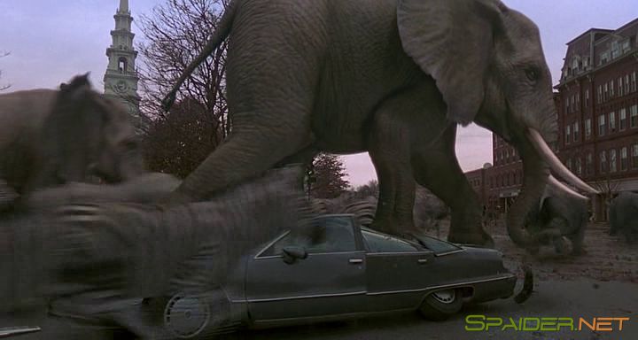 Джуманджи / Jumanji (1995) BDRip 1 Джуманджи / Jumanji (1995) BDRip 1