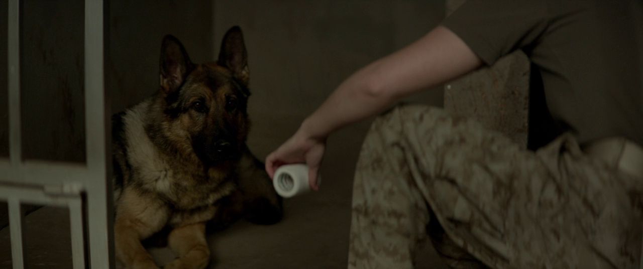 Меган Ливи / Megan Leavey (2017) BDRip 720p | iTunes 2 Меган Ливи / Megan Leavey (2017) BDRip 720p | iTunes 2