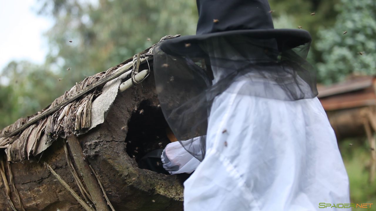 Больше чем мёд / More Than Honey (2012) BDRemux 1080p 7