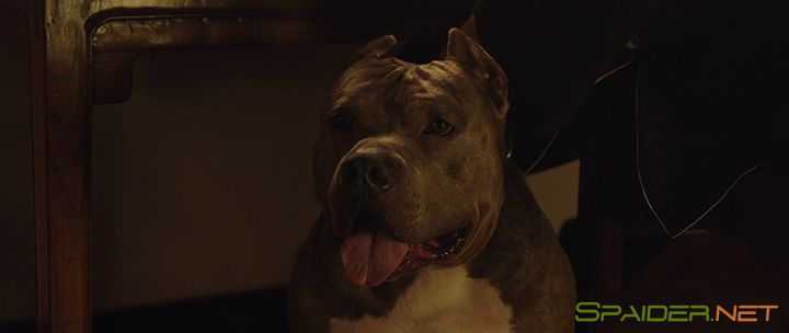 Последняя миссия / Attrition (2018) HDRip | iTunes 2 Последняя миссия / Attrition (2018) HDRip | iTunes 2