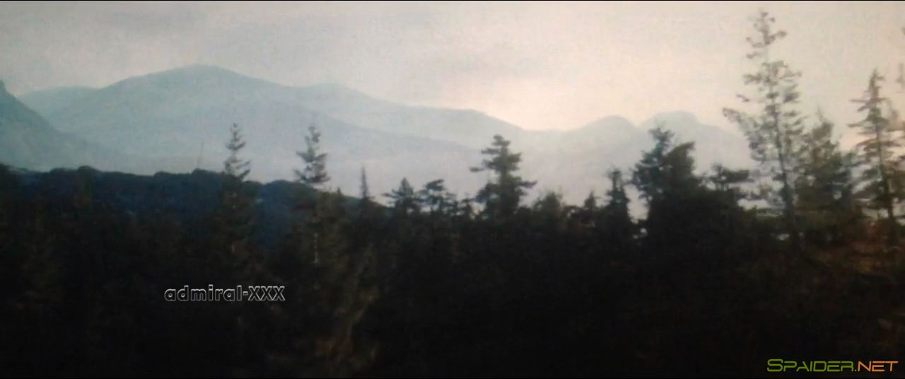 Путь домой / A Dog's Way Home (2019) CAMRip 720p 1 Путь домой / A Dog's Way Home (2019) CAMRip 720p 1