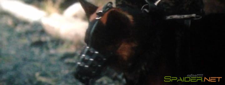 Шестой пост (2018) CAMRip 2 Шестой пост (2018) CAMRip 2