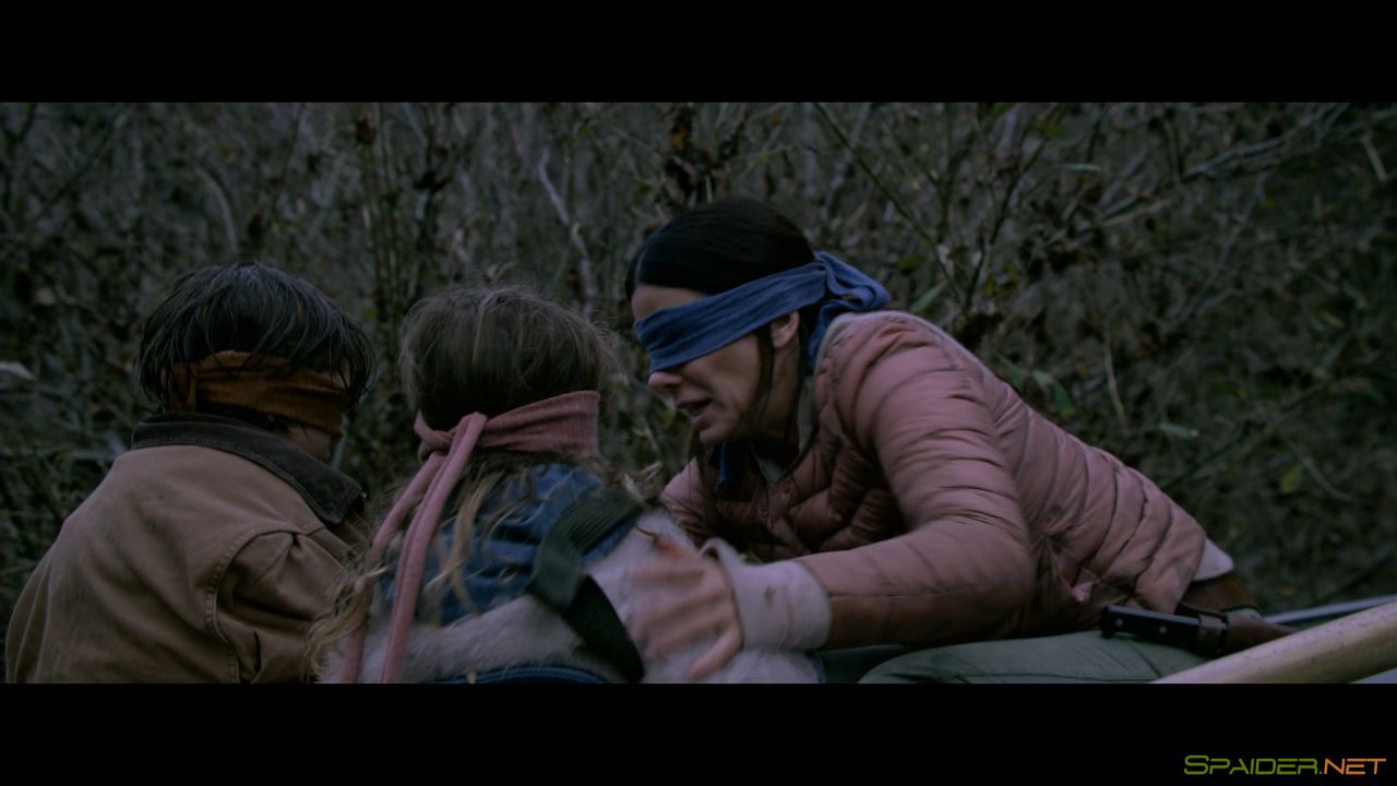 Птичий короб / Bird Box (2018) WEB-DL 1080p | Sub 2 Птичий короб / Bird Box (2018) WEB-DL 1080p | Sub 2