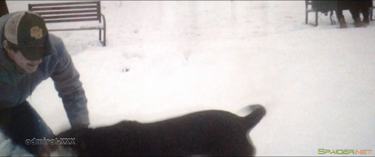 Путь домой / A Dog's Way Home (2019) CAMRip 720p 2 Путь домой / A Dog's Way Home (2019) CAMRip 720p 2