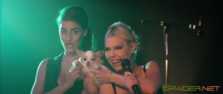 Гастрольный тур: Остаться в живых / Days of Power (2017) HDRip | L1 1 Гастрольный тур: Остаться в живых / Days of Power (2017) HDRip | L1 1