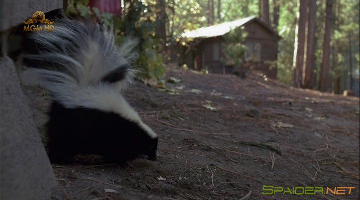 Фрикадельки 4 / Meatballs 4 / Happy Campers / Summer Vacation (1992) HDTVRip | P2 10 Фрикадельки 4 / Meatballs 4 / Happy Campers / Summer Vacation (1992) HDTVRip | P2 10