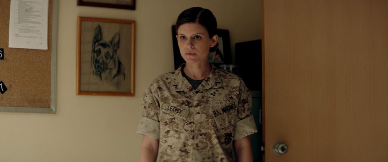 Меган Ливи / Megan Leavey (2017) BDRip 720p | iTunes 1 Меган Ливи / Megan Leavey (2017) BDRip 720p | iTunes 1
