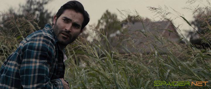 Домушники / The Domestics (2018) WEB-DLRip | L 1 Домушники / The Domestics (2018) WEB-DLRip | L 1