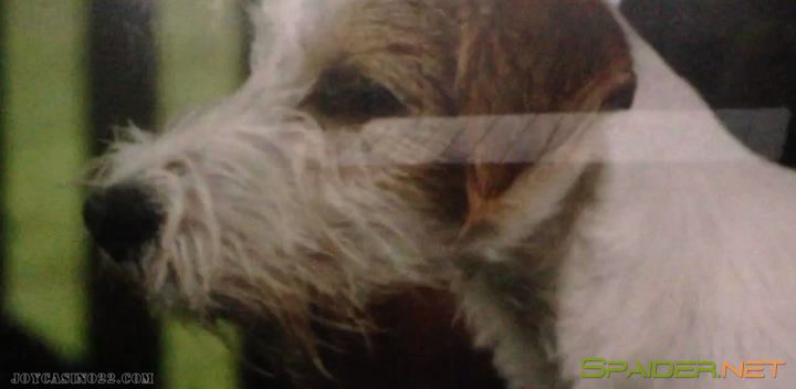 Сердце мира (2018) CAMRip 2 Сердце мира (2018) CAMRip 2