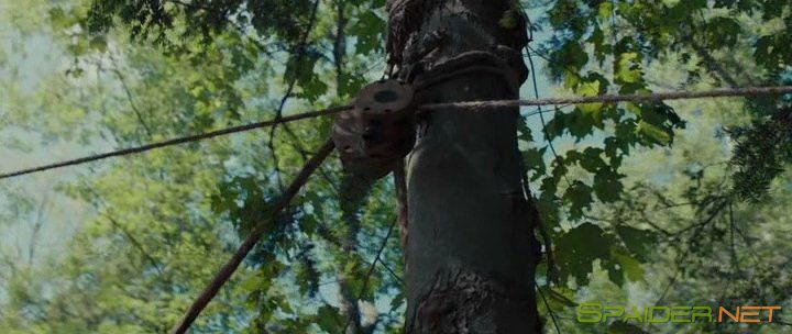 Чайка / The Seagull (2018) DVDRip | L 1 Чайка / The Seagull (2018) DVDRip | L 1