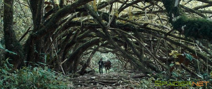 Дикарь / Gauguin - Voyage de Tahiti (2017) BDRip | iTunes 2 Дикарь / Gauguin - Voyage de Tahiti (2017) BDRip | iTunes 2