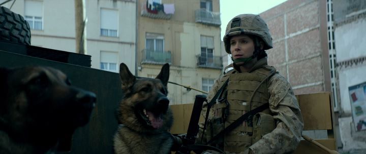 Меган Ливи / Megan Leavey (2017) BDRip | iTunes 2 Меган Ливи / Megan Leavey (2017) BDRip | iTunes 2
