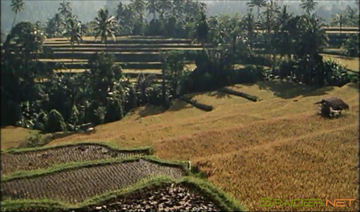 Парфюм Эммануэль / Le Parfum d'Emmanuelle / Emmanuelle's Perfume (1993) DVDRip | A 2 Парфюм Эммануэль / Le Parfum d'Emmanuelle / Emmanuelle's Perfume (1993) DVDRip | A 2