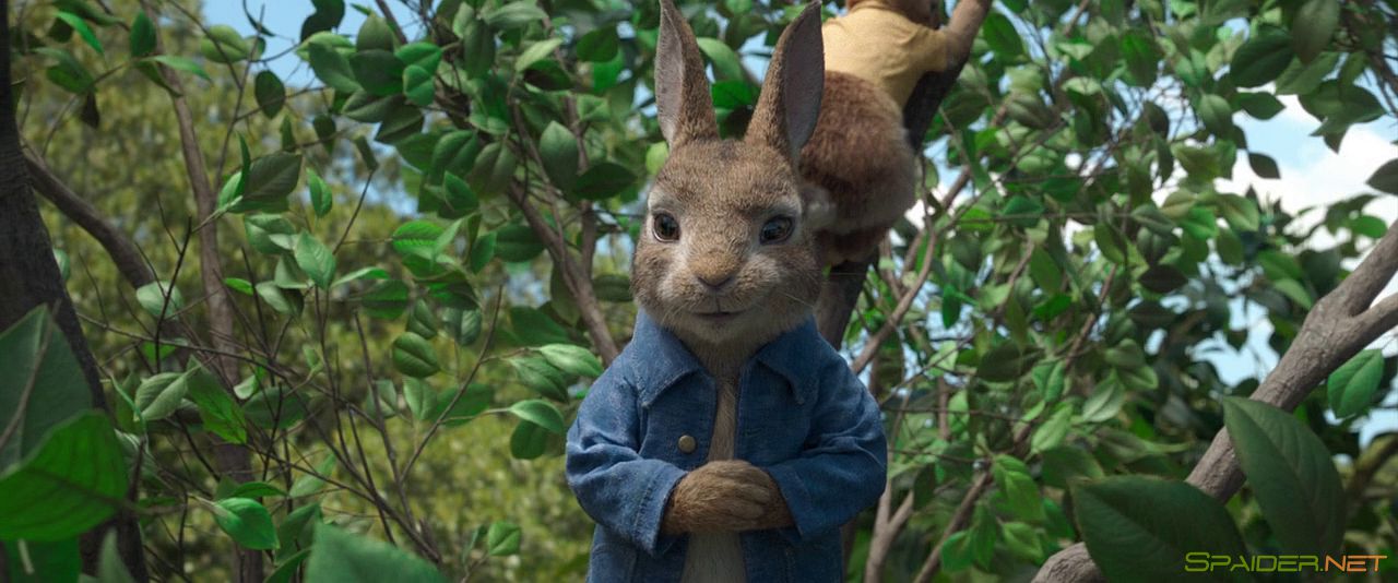 Кролик Питер / Peter Rabbit (2018) BDRip 720p | Лицензия 0 Кролик Питер / Peter Rabbit (2018) BDRip 720p | Лицензия 0