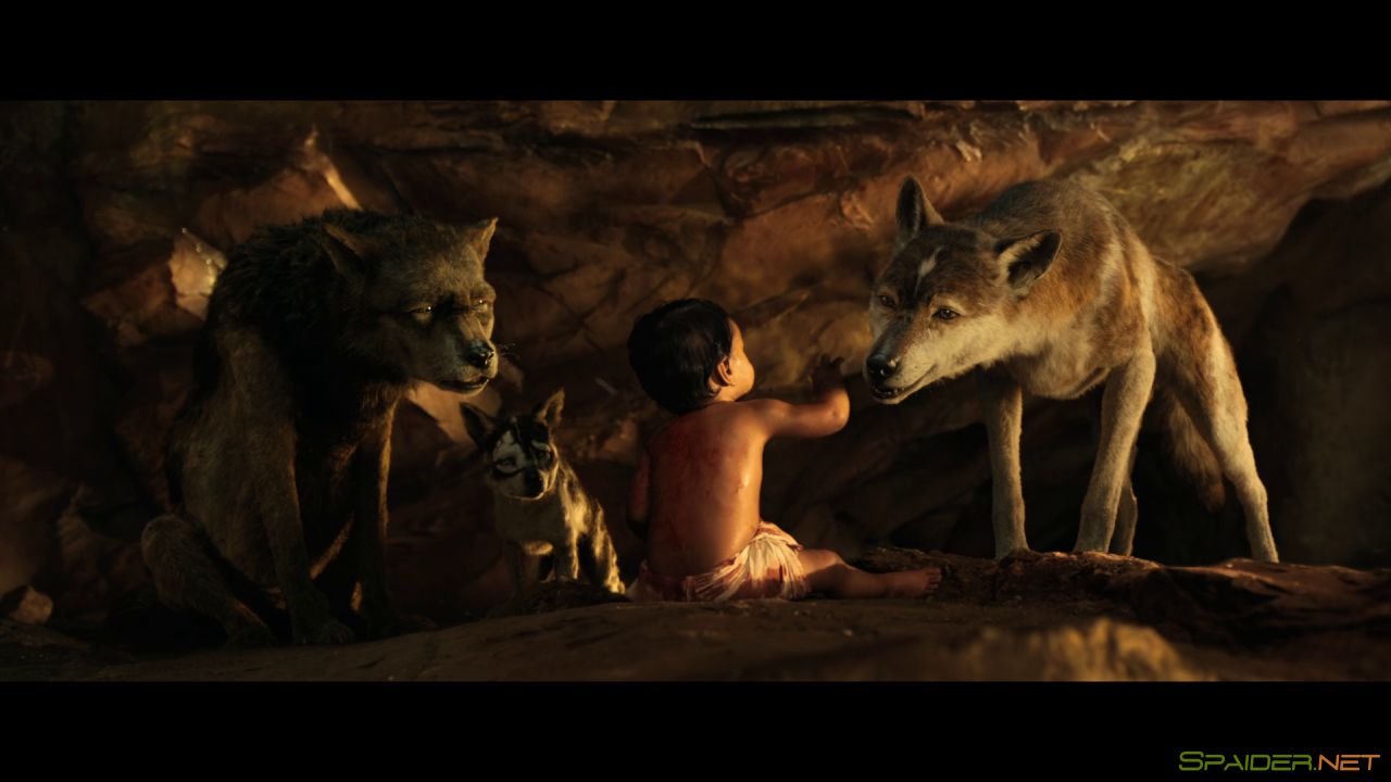 Маугли: Легенда джунглей / Mowgli (2018) WEB-DL 1080p | Пифагор 3 Маугли: Легенда джунглей / Mowgli (2018) WEB-DL 1080p | Пифагор 3