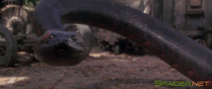 Анаконда / Anaconda (1997) BDRip 4 Анаконда / Anaconda (1997) BDRip 4