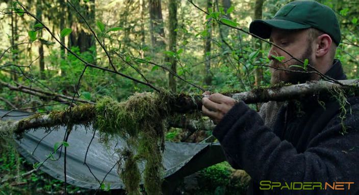 Не оставляй следов / Leave No Trace (2018) BDRip | HDRezka Studio 3 Не оставляй следов / Leave No Trace (2018) BDRip | HDRezka Studio 3