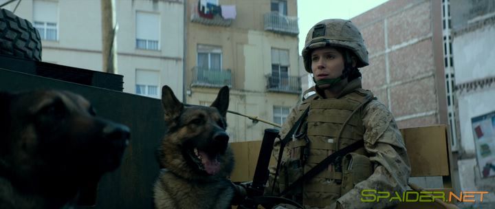 Меган Ливи / Megan Leavey (2017) BDRip | iTunes 2 Меган Ливи / Megan Leavey (2017) BDRip | iTunes 2