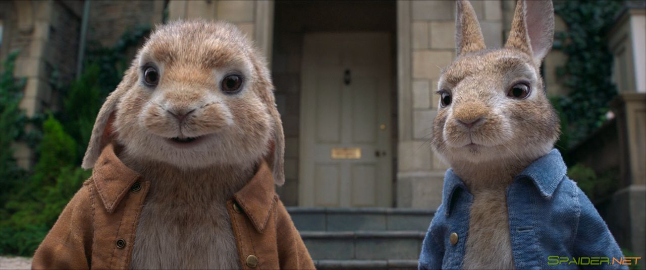 Кролик Питер / Peter Rabbit (2018) BDRip 1080p | iTunes 2 Кролик Питер / Peter Rabbit (2018) BDRip 1080p | iTunes 2