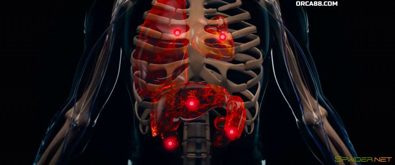 Детектив из Чайнатауна 2 / Tang ren jie tan an 2 (2018) WEBRip 720p | L 2 Детектив из Чайнатауна 2 / Tang ren jie tan an 2 (2018) WEBRip 720p | L 2