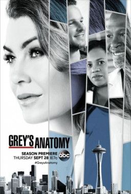Анатомия Грей / Анатомия страсти / Grey's Anatomy [14 Сезон. 1-15 из 24] (2017) WEB-DLRip | BaibaKo