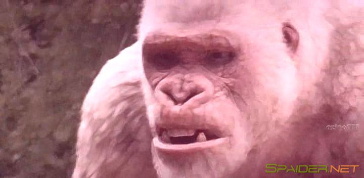 Рэмпейдж / Rampage (2018) CAMRip 1 Рэмпейдж / Rampage (2018) CAMRip 1