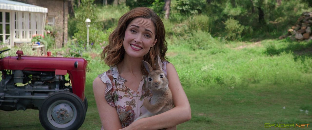 Кролик Питер / Peter Rabbit (2018) BDRip 720p | Лицензия 1 Кролик Питер / Peter Rabbit (2018) BDRip 720p | Лицензия 1