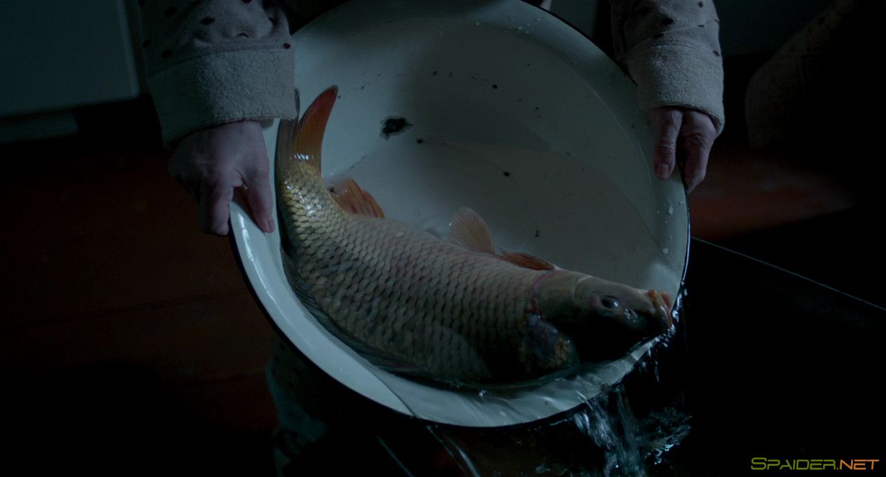 Карп отмороженный (2017) BDRip 720p | Лицензия 0 Карп отмороженный (2017) BDRip 720p | Лицензия 0