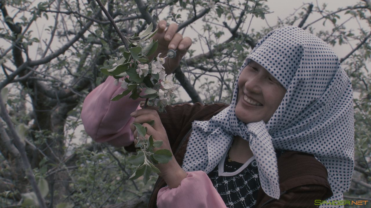 Больше чем мёд / More Than Honey (2012) BDRemux 1080p 2 Больше чем мёд / More Than Honey (2012) BDRemux 1080p 2