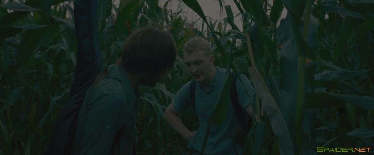 Рок (2017) WEB-DL 1080p | iTunes 5 Рок (2017) WEB-DL 1080p | iTunes 5