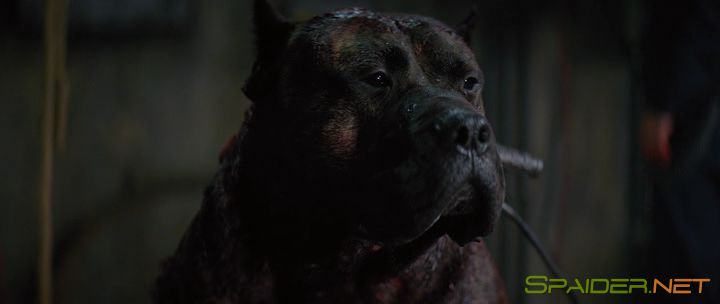 Цепной пёс / Bullet Head (2017) BDRip | iTunes 5 Цепной пёс / Bullet Head (2017) BDRip | iTunes 5