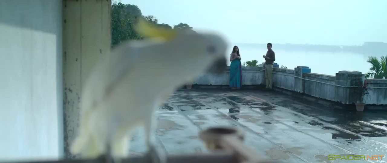 Фея / Pari (2018) BDRip 720p | L 0 Фея / Pari (2018) BDRip 720p | L 0