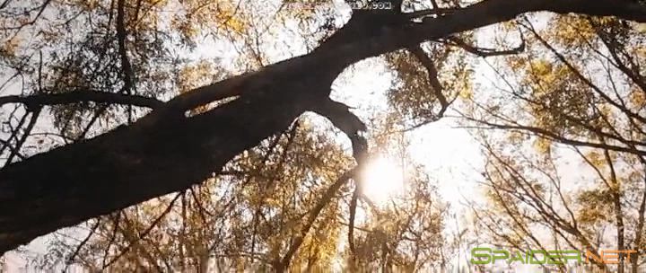 Жажда смерти / Death Wish (2018) TS | L 0 Жажда смерти / Death Wish (2018) TS | L 0