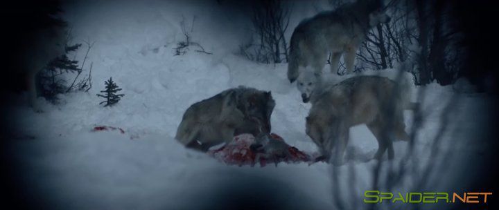 Придержи тьму / Hold the Dark (2018) WEBRip | L1 2 Придержи тьму / Hold the Dark (2018) WEBRip | L1 2