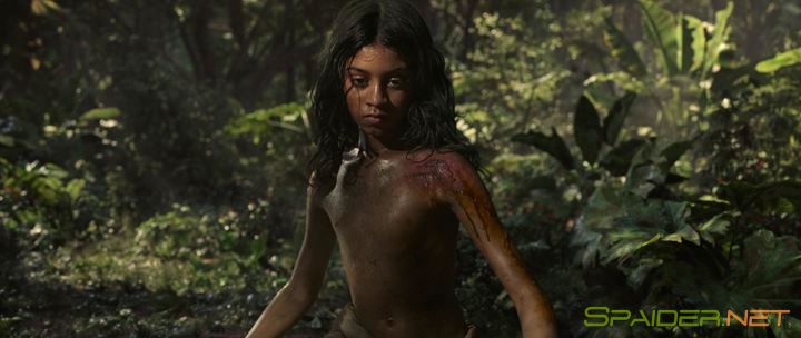 Маугли: Легенда джунглей / Mowgli (2018) WEB-DLRip | Пифагор 3 Маугли: Легенда джунглей / Mowgli (2018) WEB-DLRip | Пифагор 3