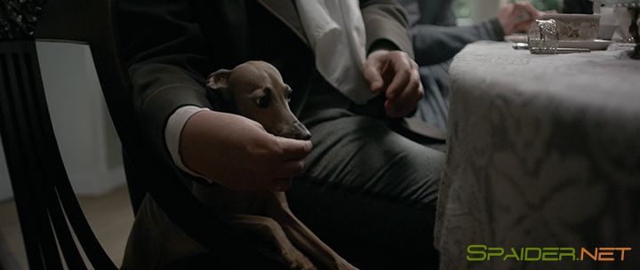 История одного назначения (2017) WEB-DLRip | iTunes 3 История одного назначения (2017) WEB-DLRip | iTunes 3