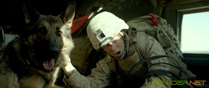 Меган Ливи / Megan Leavey (2017) BDRip | iTunes 0 Меган Ливи / Megan Leavey (2017) BDRip | iTunes 0