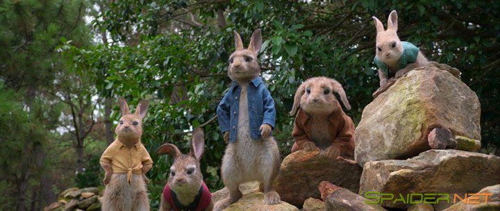 Кролик Питер / Peter Rabbit (2018) HDRip | Лицензия 1 Кролик Питер / Peter Rabbit (2018) HDRip | Лицензия 1