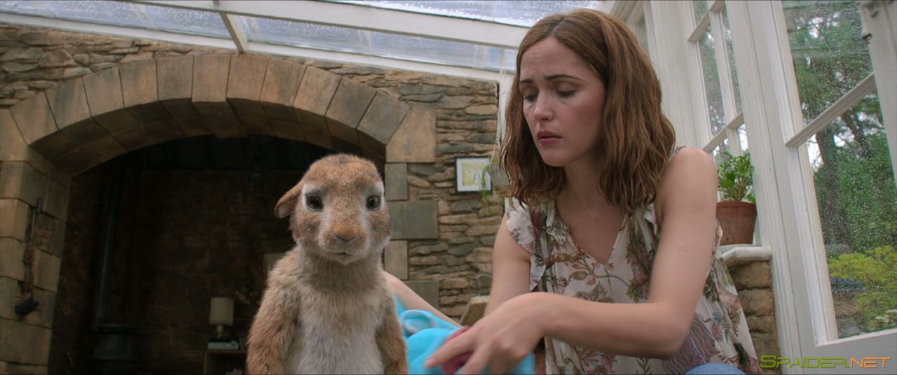 Кролик Питер / Peter Rabbit (2018) BDRip 1080p | iTunes 1 Кролик Питер / Peter Rabbit (2018) BDRip 1080p | iTunes 1