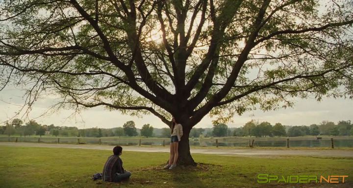 Убийство священного оленя / The Killing of a Sacred Deer (2017) HDRip 1 Убийство священного оленя / The Killing of a Sacred Deer (2017) HDRip 1