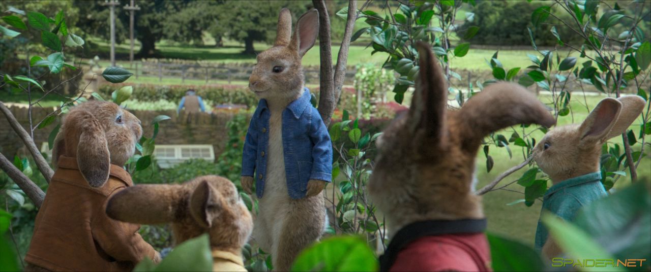 Кролик Питер / Peter Rabbit (2018) BDRip 1080p | iTunes 0 Кролик Питер / Peter Rabbit (2018) BDRip 1080p | iTunes 0