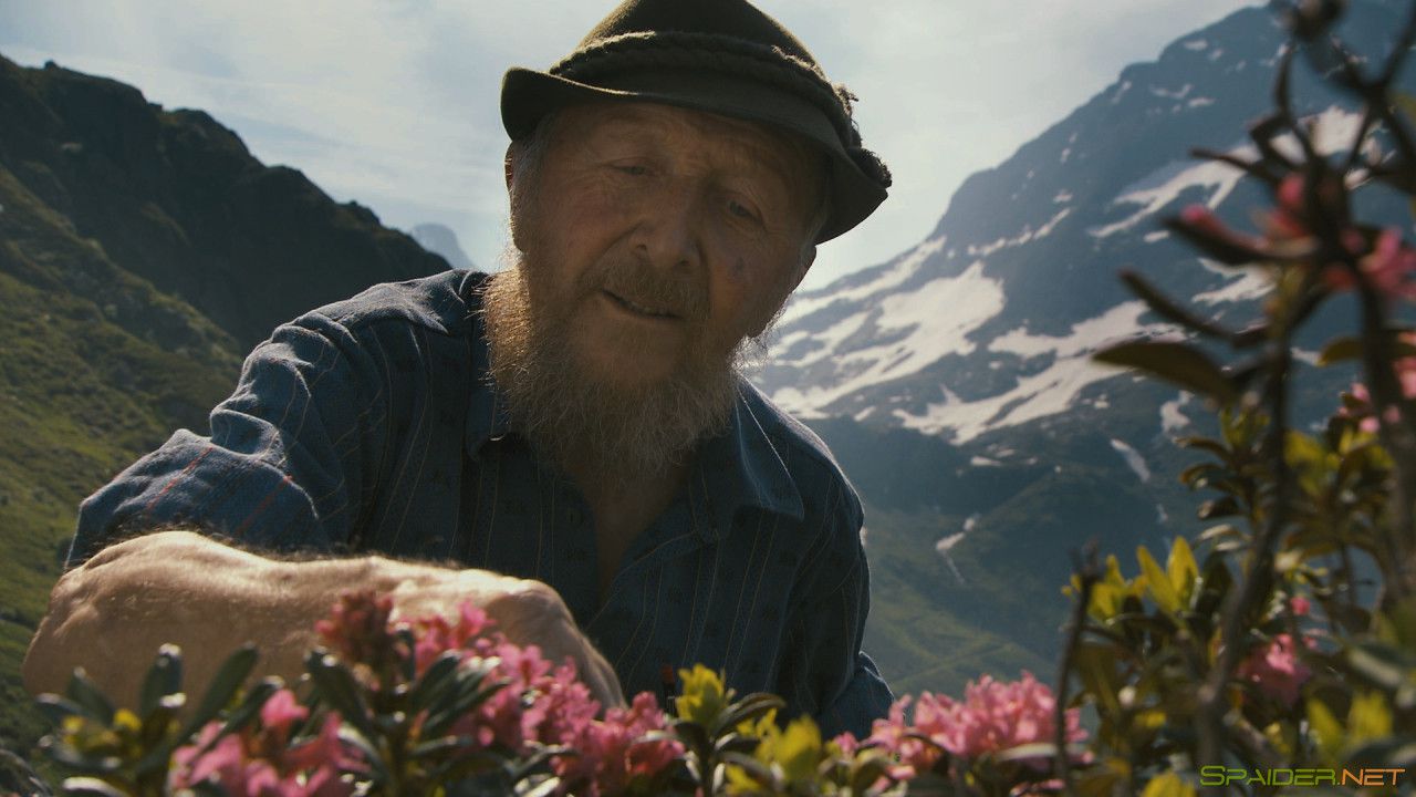 Больше чем мёд / More Than Honey (2012) BDRemux 1080p 1 Больше чем мёд / More Than Honey (2012) BDRemux 1080p 1